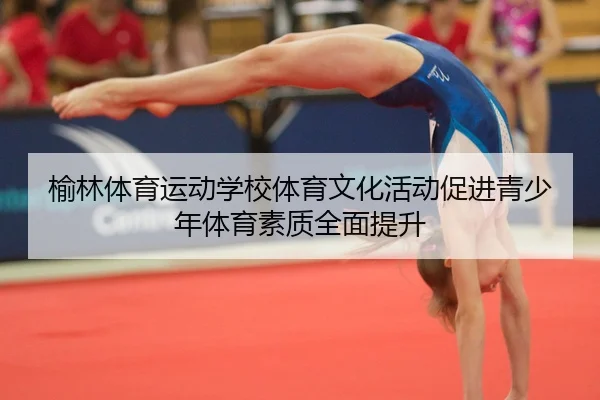 榆林体育运动学校体育文化活动促进青少年体育素质全面提升