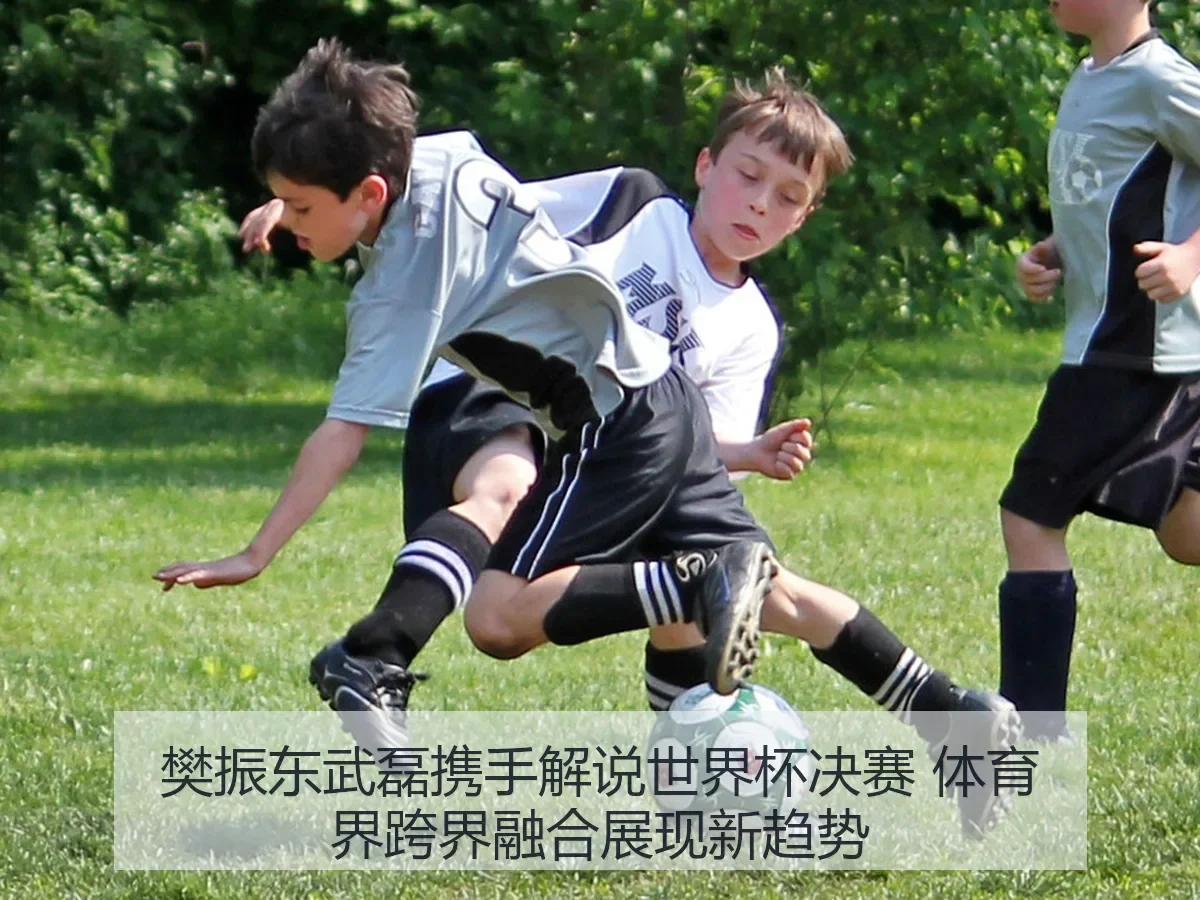 樊振东武磊携手解说世界杯决赛 体育界跨界融合展现新趋势
